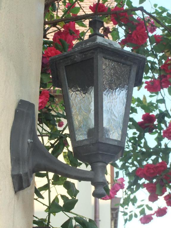 Pension Becker Rothenburg ob der Tauber Ngoại thất bức ảnh